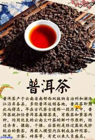 四大名香普洱茶：探索普洱茶的香型奥秘