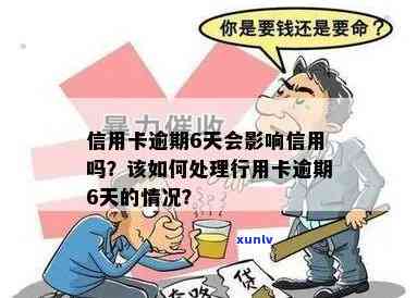 行用卡逾期6天怎么办？解决方法全解析，让您轻松应对逾期问题