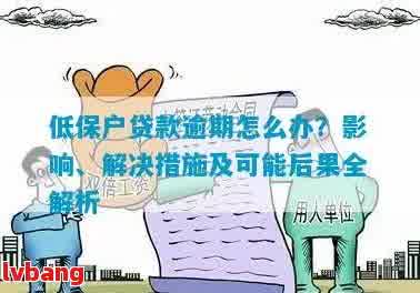 低保户在网贷困境中的应对策略：法律途径与实际解决方案