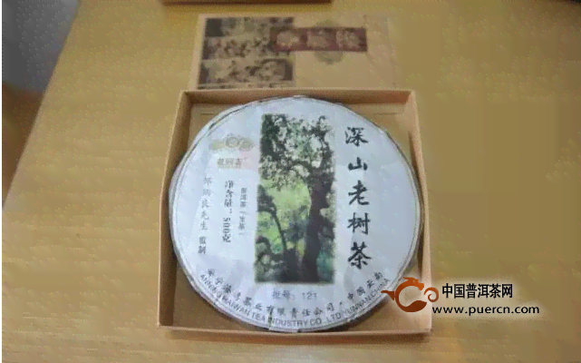 老同志与普洱茶友分享：品鉴生茶的秘与行情分析