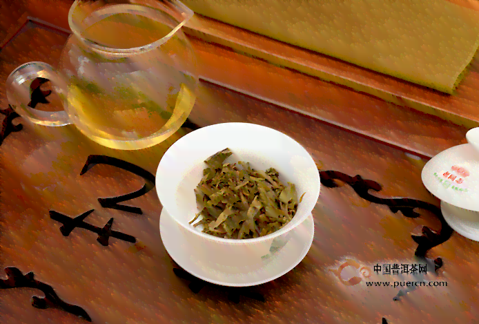 老同志与普洱茶友分享：品鉴生茶的秘与行情分析