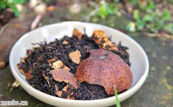 陈皮与普洱茶的完美融合：掌握精确冲泡技巧，品尝极致美味