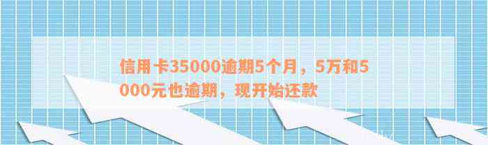 信用卡逾期5个月超过35000元：如何解决还款问题与信用修复策略