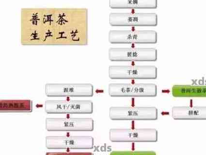 普洱茶的加工工艺有哪几个工序：关键步骤与基本流程