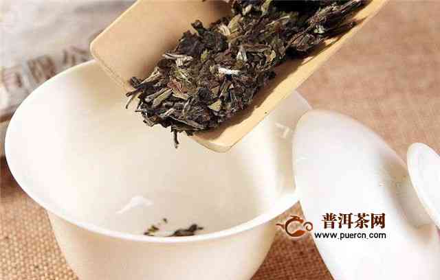 白茶茶饼与普洱茶的区别：为何价格差异显著？