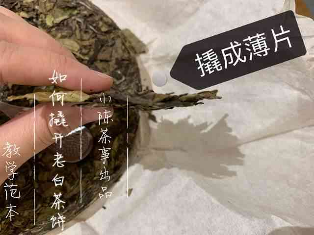 白茶饼是普洱茶吗？为什么那么贵呢？