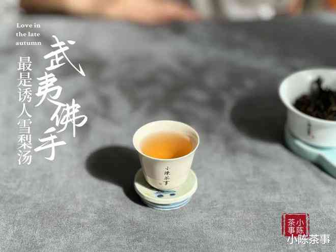 '白茶好还是普洱茶好一点呢女生： 喝出健，选择适合的茶'