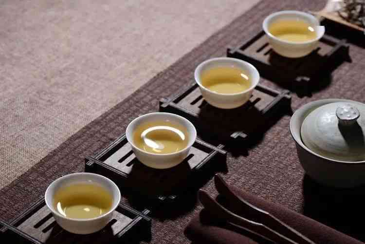 白茶与普洱茶：全面对比解析，助您轻松选择最适合您的茶品