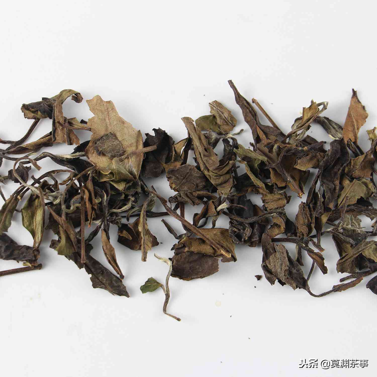 白茶与普洱茶：全面对比解析，助您轻松选择最适合您的茶品