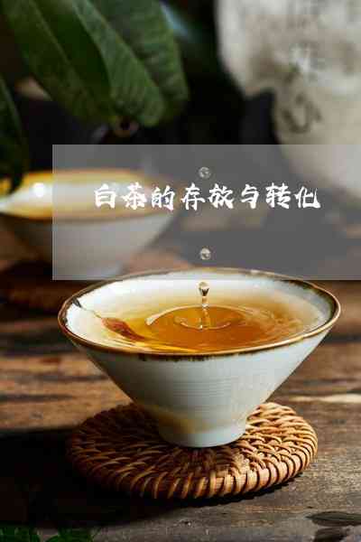 如何存白茶有利于转化成茶叶？