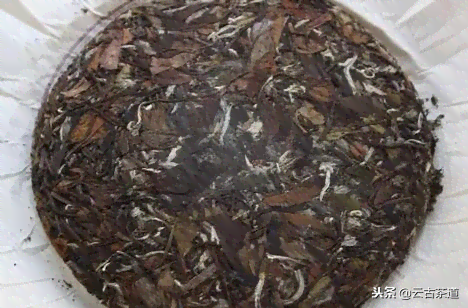 如何存白茶有利于转化成茶叶？