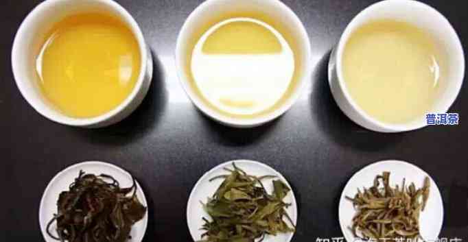 '白茶也是普洱茶的一种吗？为什么？与普洱茶相比，白茶的优势在哪里？'