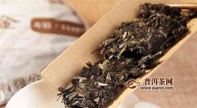 老白茶与普洱茶的区别：它们是同一种茶吗？