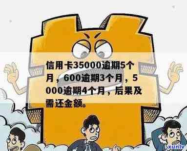 信用卡35000逾期5个月了，如何处理？