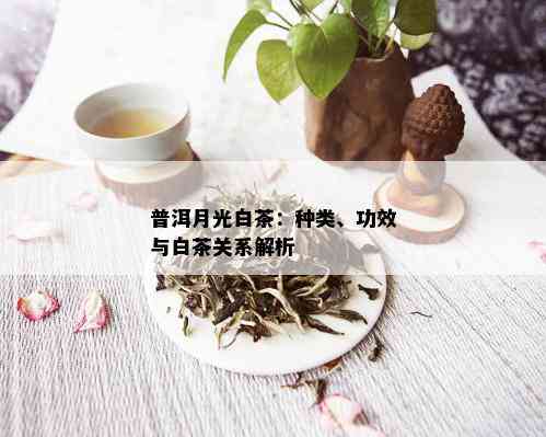 普洱月光白茶的分类与功效：属于什么茶及它的作用