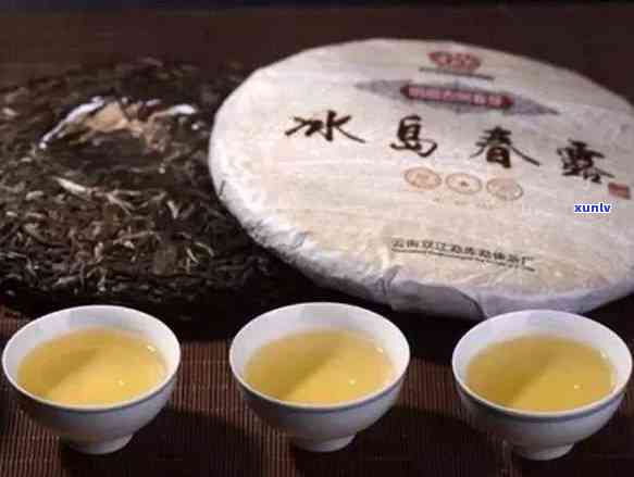 冰岛云南普洱茶春茶散茶一杯的价格与批发报价大全