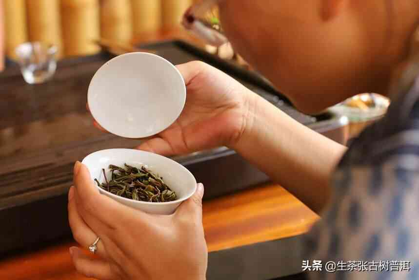 普洱茶的茶气是什么？它来自哪里？如何品鉴和体验茶气？