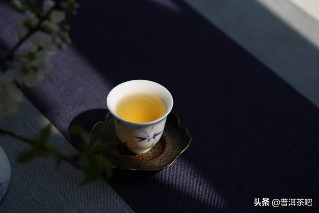 云南普洱茶念版的茶特点