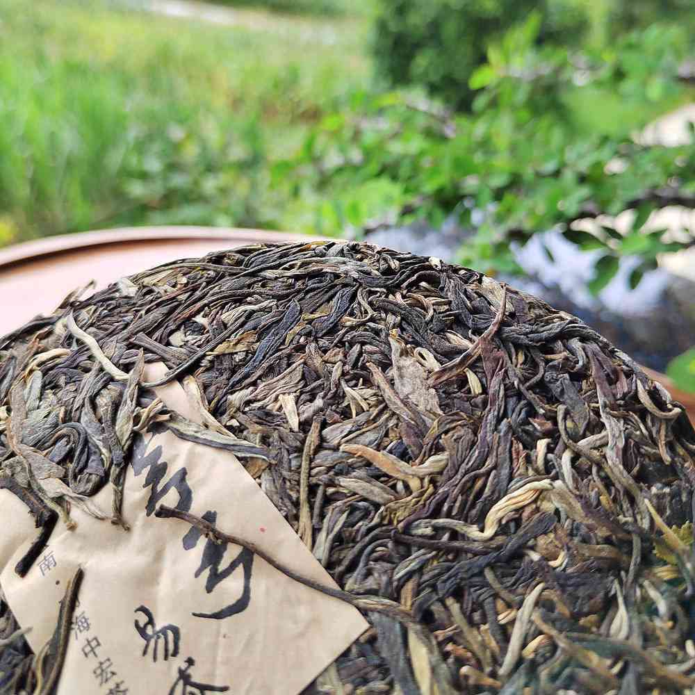 古树茶弯茶-厂家批发价格及货源信息