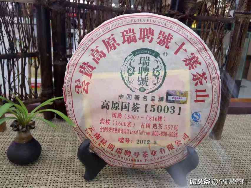 新为什么蒸炒青茶不适合冲泡普洱茶？探索原因及适用茶叶类型