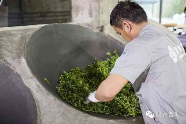 普洱茶手工炒青饼好吗怎么做