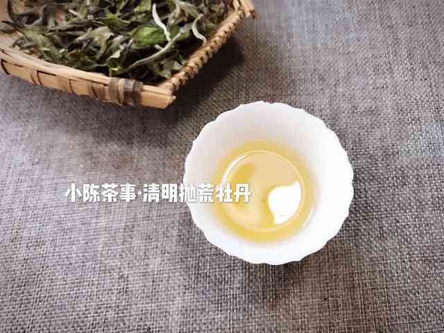 普洱茶：属于红茶还是绿茶？