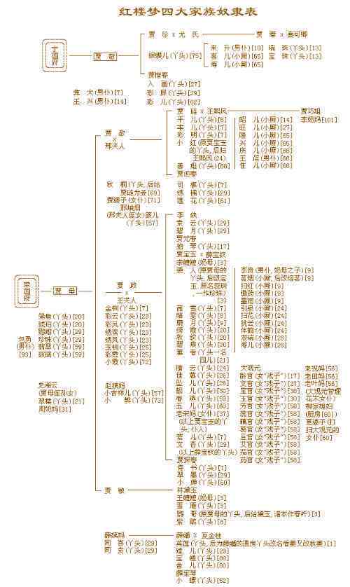 红楼梦中人物传片：全面解析角色关系、背景故事与文化内涵