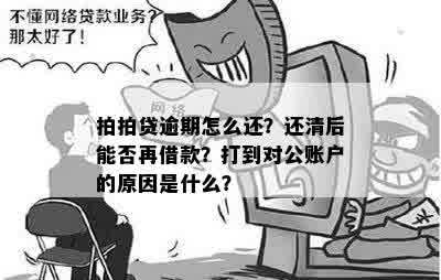 协调还款：为什么要打对公账户？如何操作？解答用户疑问