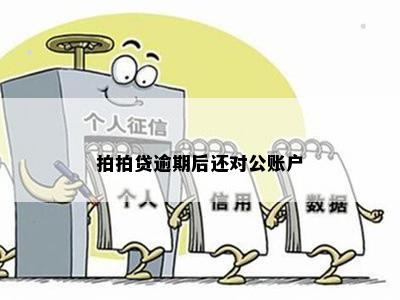 协调还款为什么要打对公账户呢