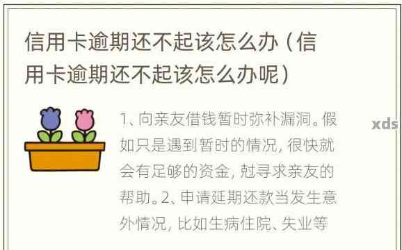 信用卡怎么做才不逾期