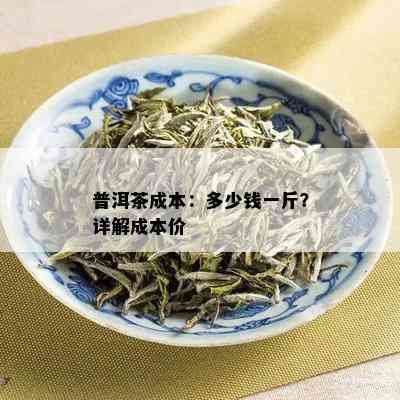 探索普洱茶顶级高端价格：一斤茶叶的真实成本与品质解析