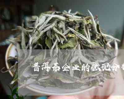 云南普洱茶的微观环境分析