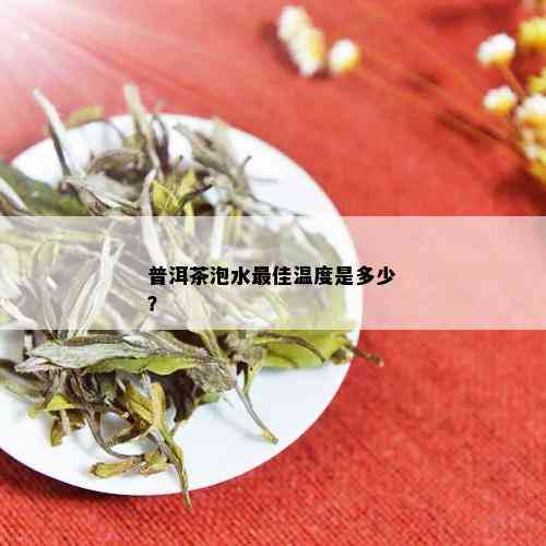 普洱茶价格多少钱一斤才能要