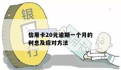 信用卡20元逾期一个月利息、影响与处理方法