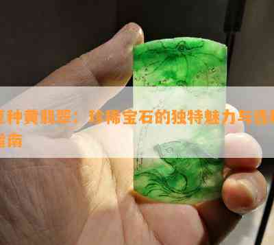 翡翠黄色的魅力与选购指南：了解其独特价值和保养方法