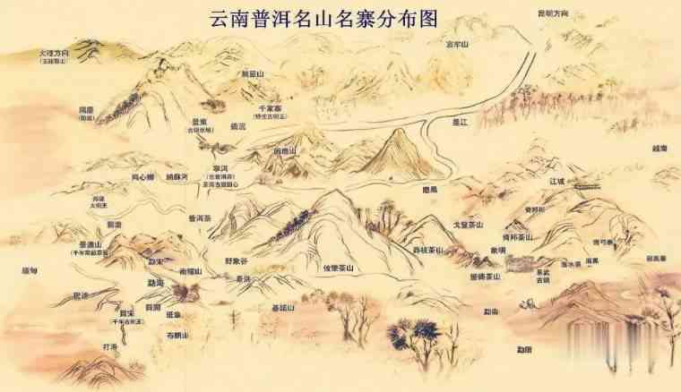 云南临沧与保山：探寻普洱茶的产地及其历与口感