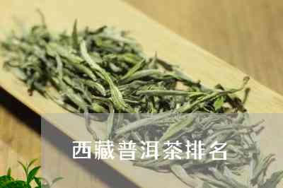      普洱茶代表茶品种是什么