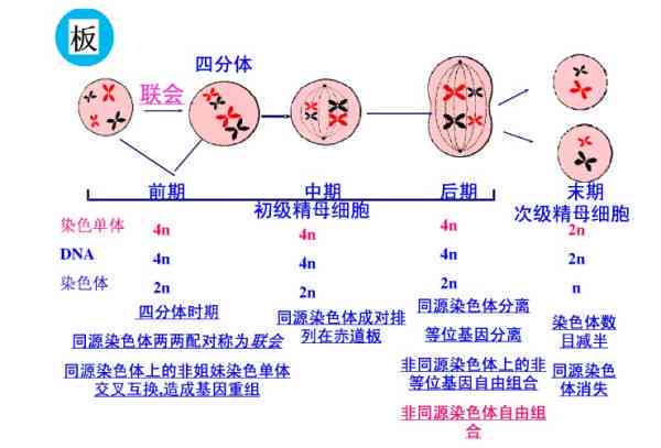 和田玉的蓝青与蓝调：两种不同风格的区别解析