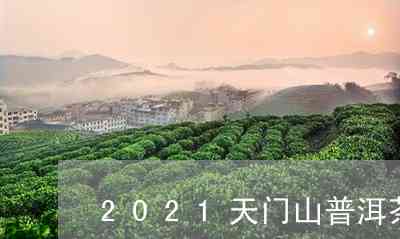 天门山普洱茶2021年春茶