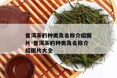 普洱茶：一种独特的茶叶分类之谜，探寻其真实的茶类归属