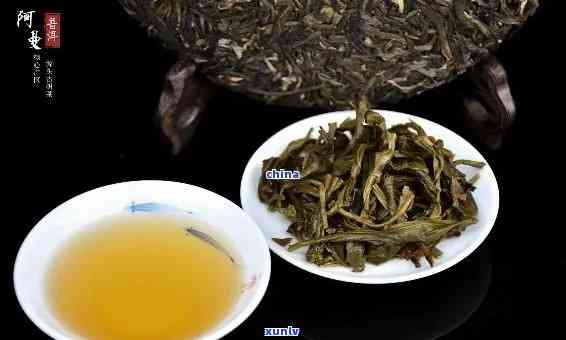 普洱茶选择：熟茶还是生茶？上火还是清火？全面解析各种茶叶特性与适用场景