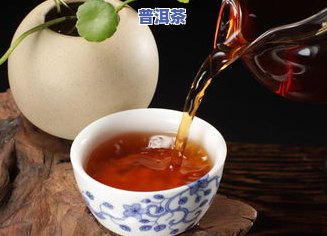 普洱茶为什么要少喝：原因与适宜饮用量解析