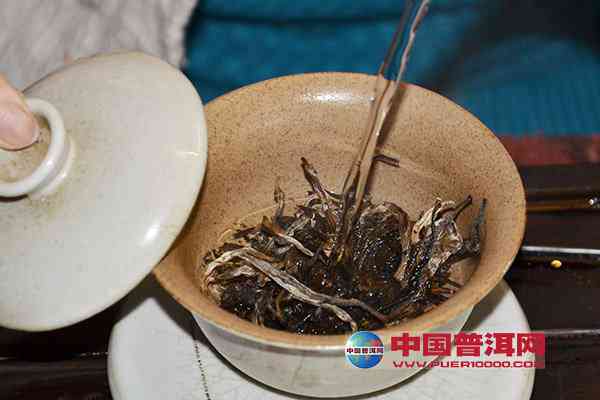 探究普洱茶三泡后断崖式茶味现象的原因及解决方法