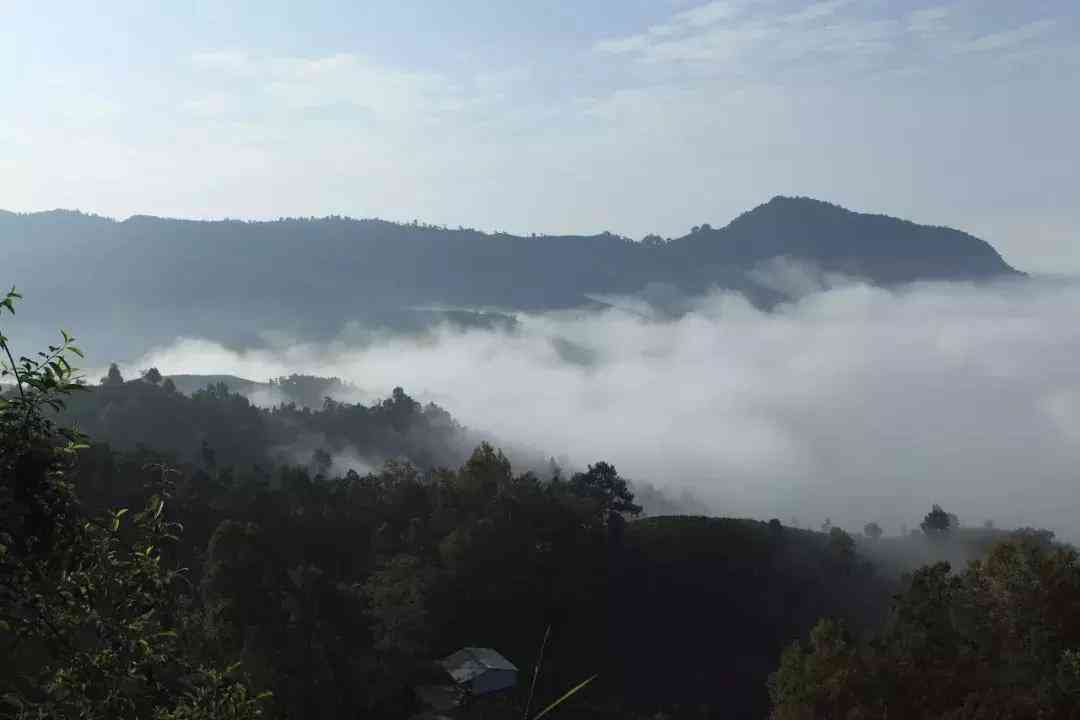 普洱茶老班章有留的价值吗