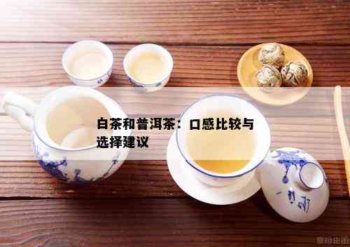 普洱茶与白茶：品味之争，究竟哪个更胜一筹？