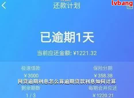 欠款逾期费用计算与上限一览：一天、一个度或一年更高额度是多少？