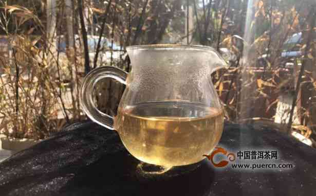 南糯山半坡老寨古树茶：独特风味、产地特点、制作工艺及品鉴方法全面解析