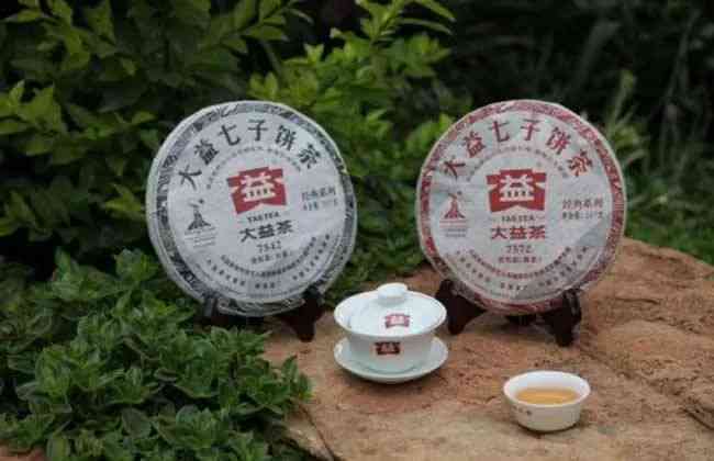 大益普洱茶7542与7572的区别：哪个好？