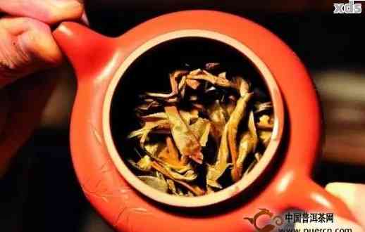 普洱茶放暖壶可以泡吗？怎么泡才好喝？