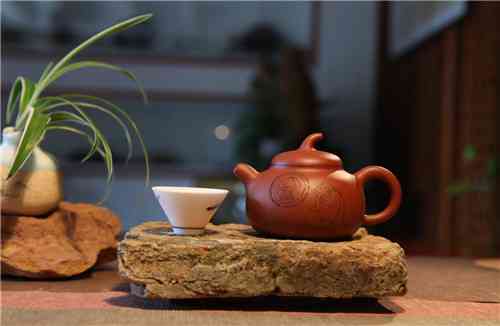 普洱茶壶使用技巧：如何地使用普洱茶茶壶